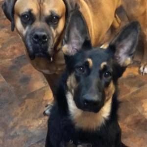 Meet your Posher, Mike